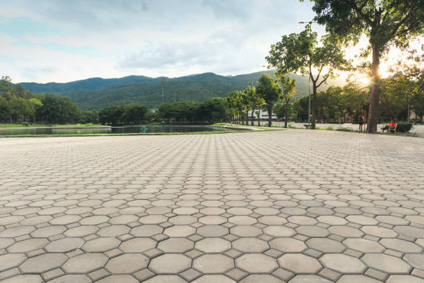 Best Local Driveway Pavers  in Jamul, CA